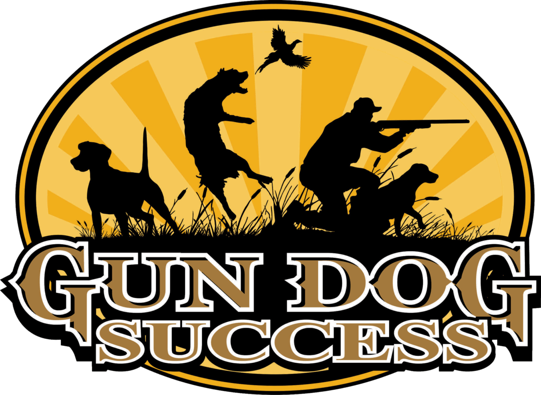 Gun Dog Success